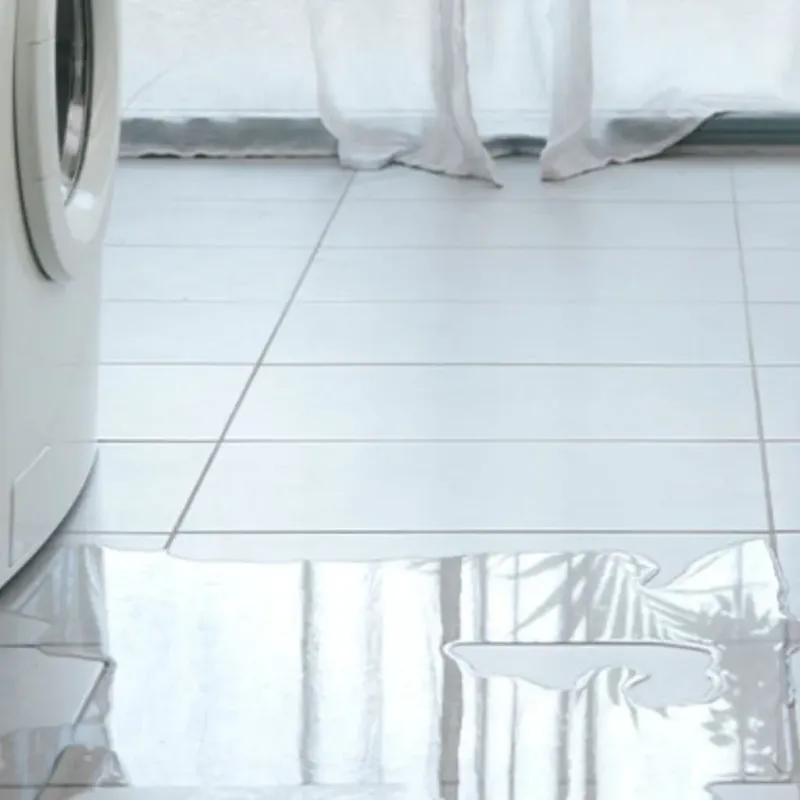 Appliance Leak Cleanup in Union County, SC