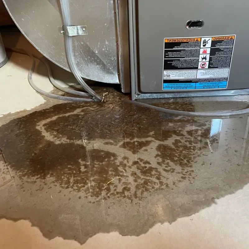 Pipe Burst and Leak Restoration in Union County, SC